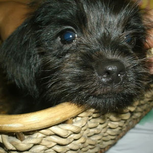 Meet your Posher, Jamie